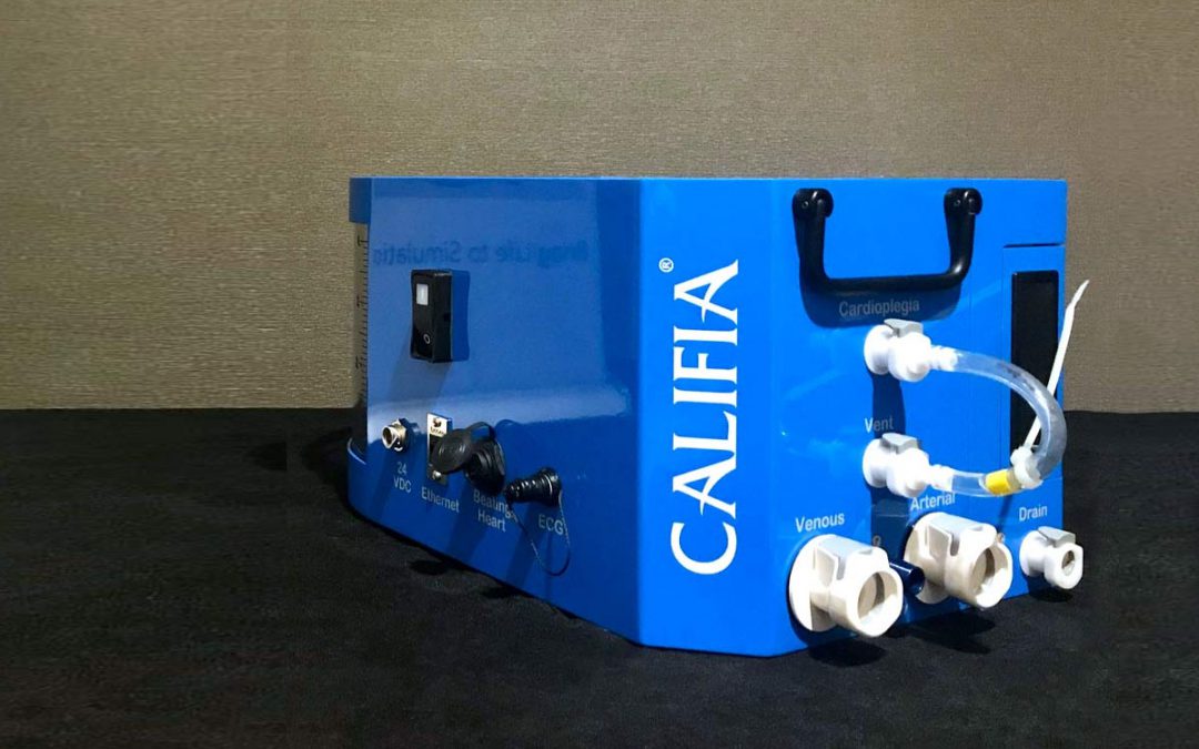 Biomed Simulation Part Of Columbia U Simulation Center Dedication Ceremony